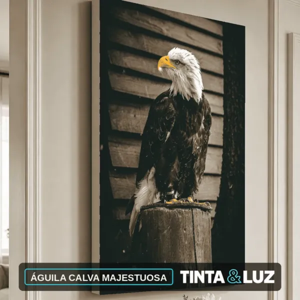ÁGUILA CALVA MAJESTUOSA