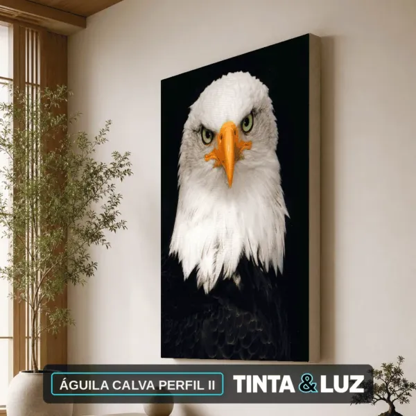ÁGUILA CALVA PERFIL II