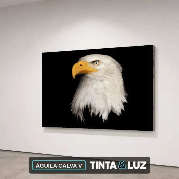 ÁGUILA CALVA V