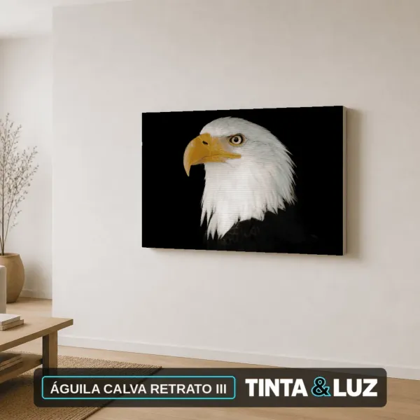 ÁGUILA CALVA RETRATO III