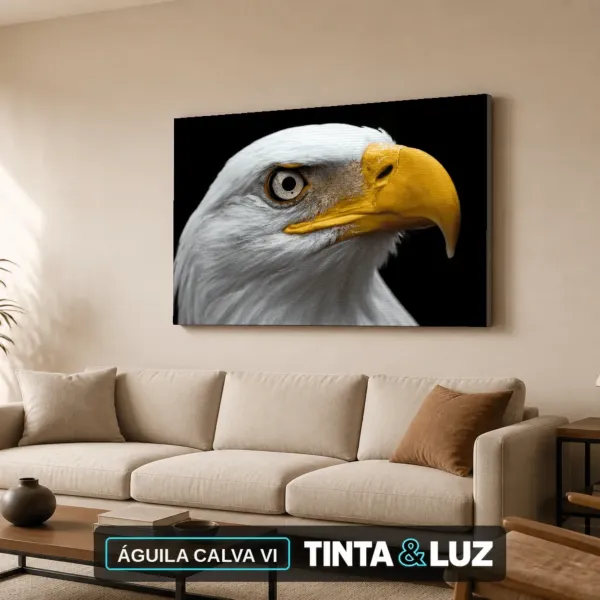 ÁGUILA CALVA VI