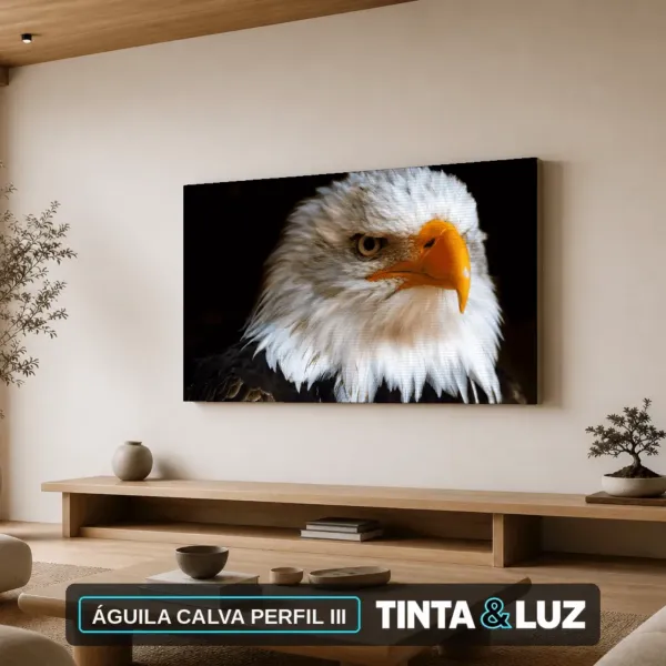 ÁGUILA CALVA PERFIL III