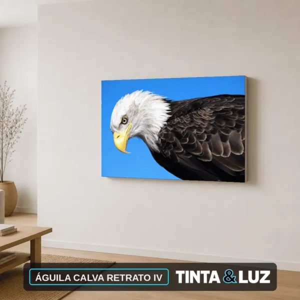 ÁGUILA CALVA RETRATO IV