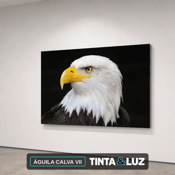 ÁGUILA CALVA VII