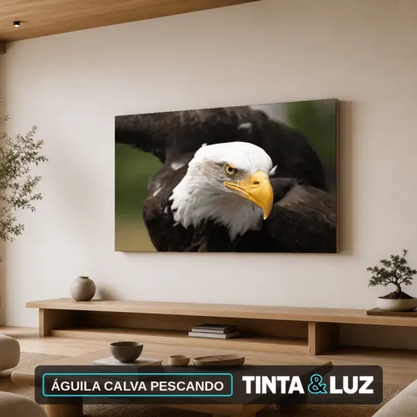 ÁGUILA CALVA PESCANDO