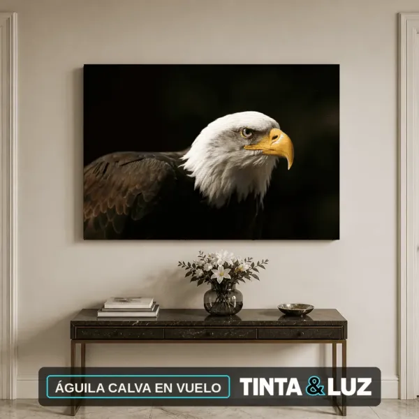 ÁGUILA CALVA EN VUELO