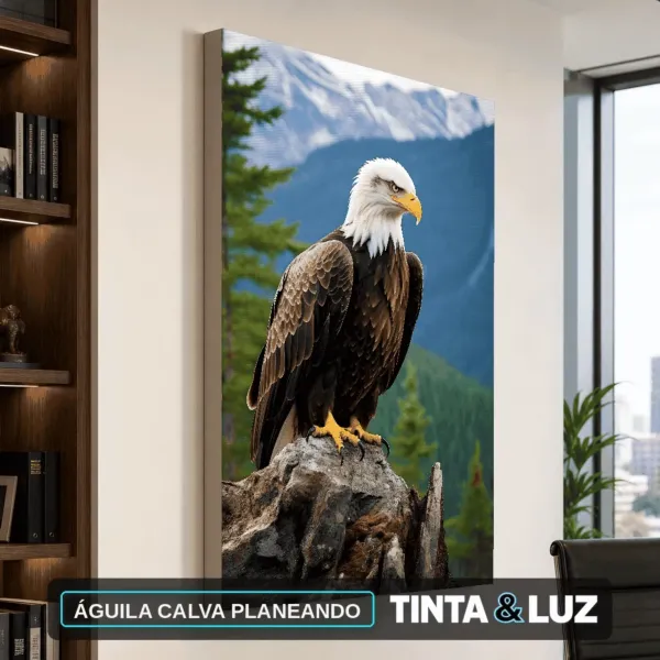ÁGUILA CALVA PLANEANDO