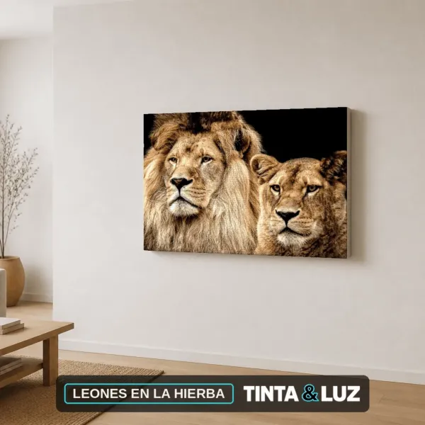 LEONES EN LA HIERBA