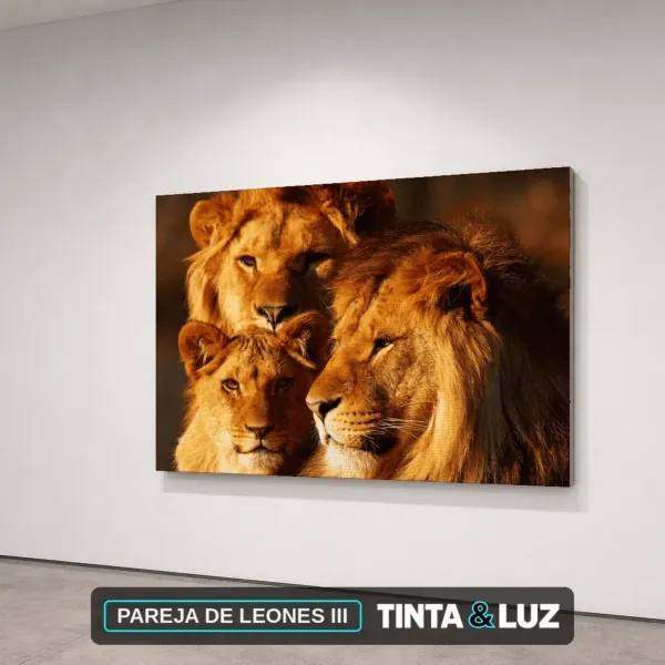 PAREJA DE LEONES III
