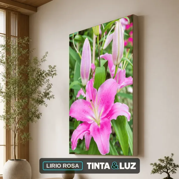 LIRIO ROSA