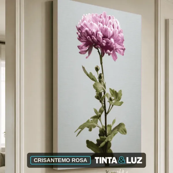 CRISANTEMO ROSA