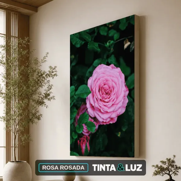 ROSA ROSADA