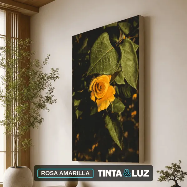 ROSA AMARILLA