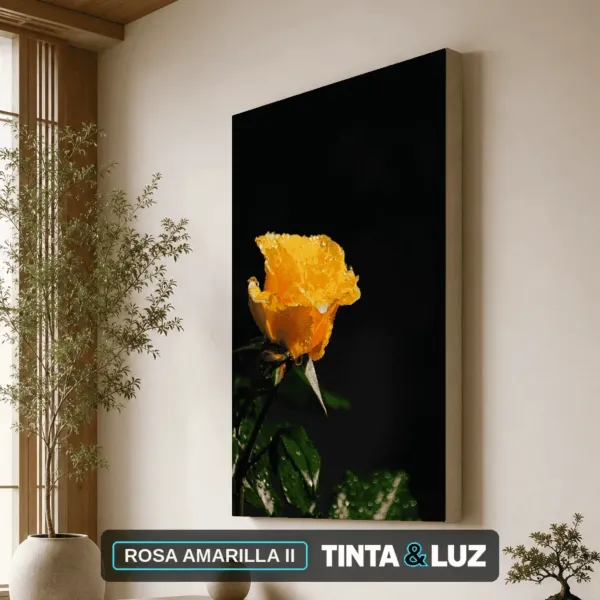 ROSA AMARILLA II