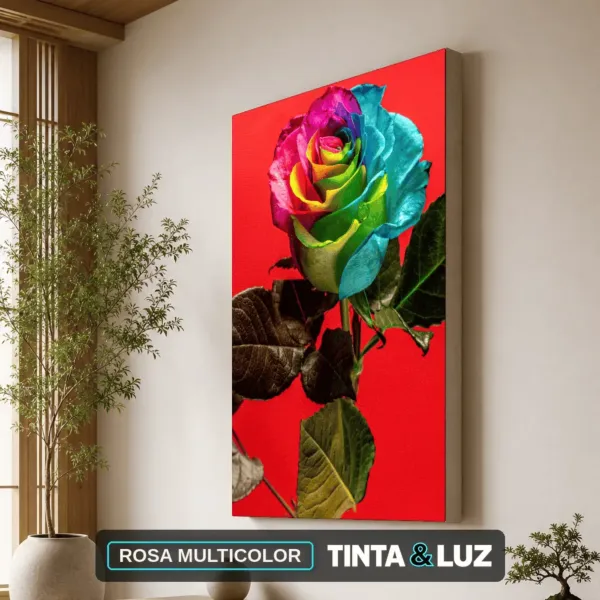 ROSA MULTICOLOR