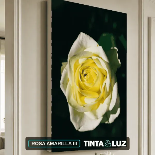 ROSA AMARILLA III