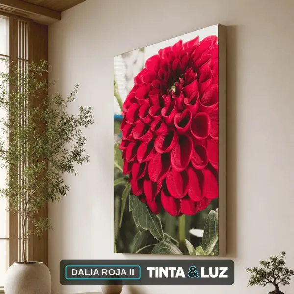 DALIA ROJA II
