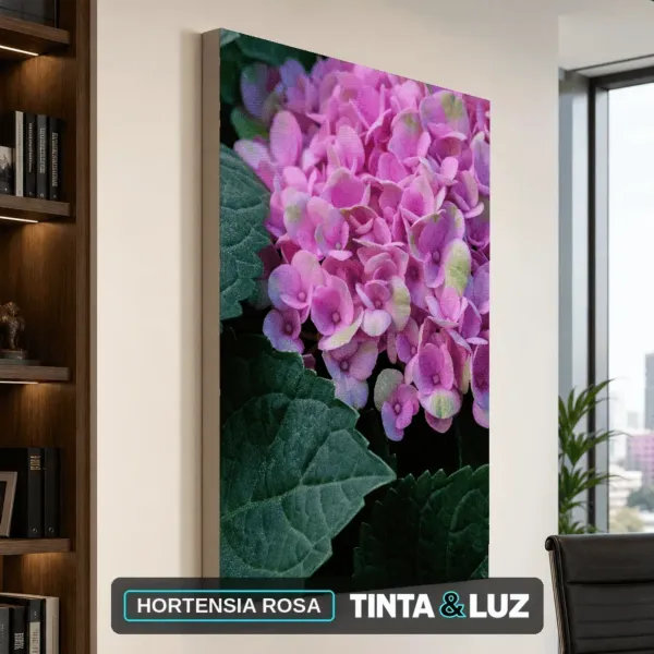 HORTENSIA ROSA