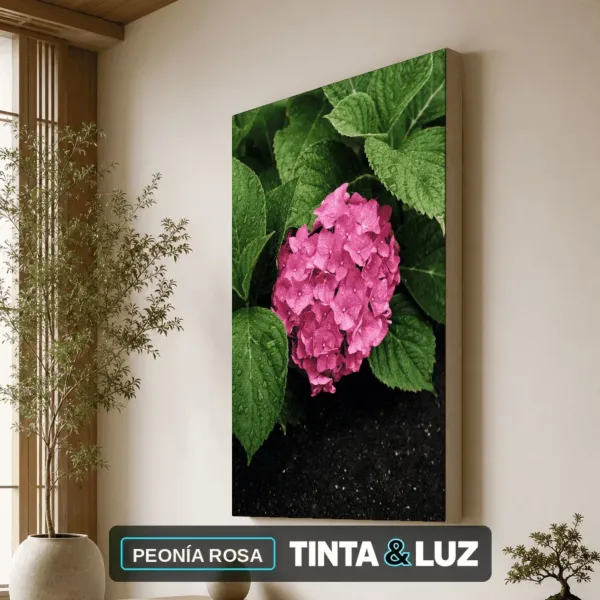 PEONÍA ROSA