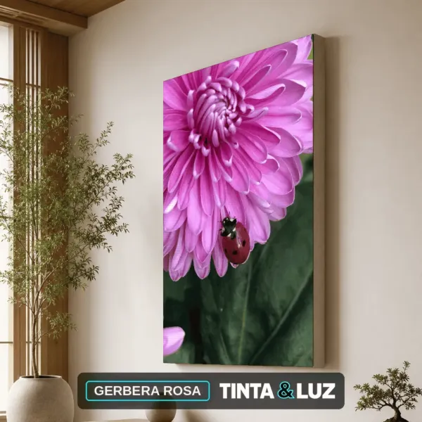 GERBERA ROSA