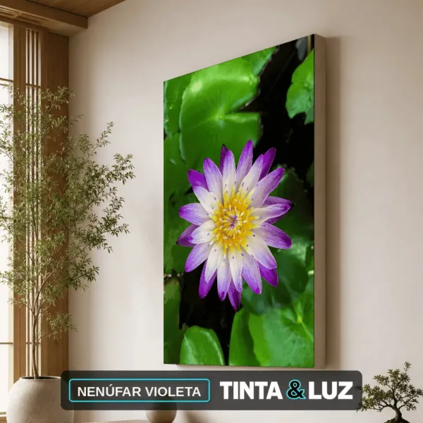 NENÚFAR VIOLETA