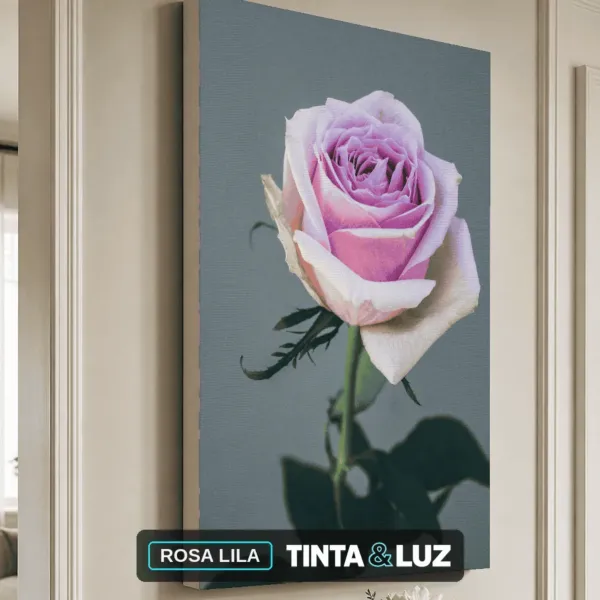 ROSA LILA