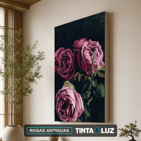 ROSAS ANTIGUAS