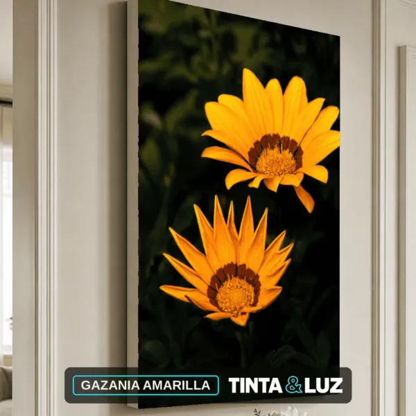 GAZANIA AMARILLA