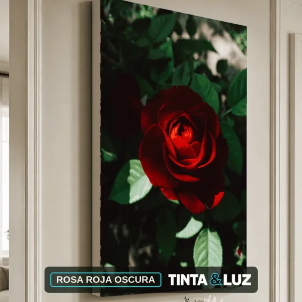 ROSA ROJA OSCURA