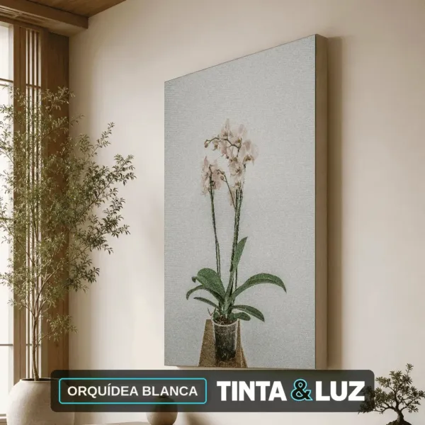 ORQUÍDEA BLANCA