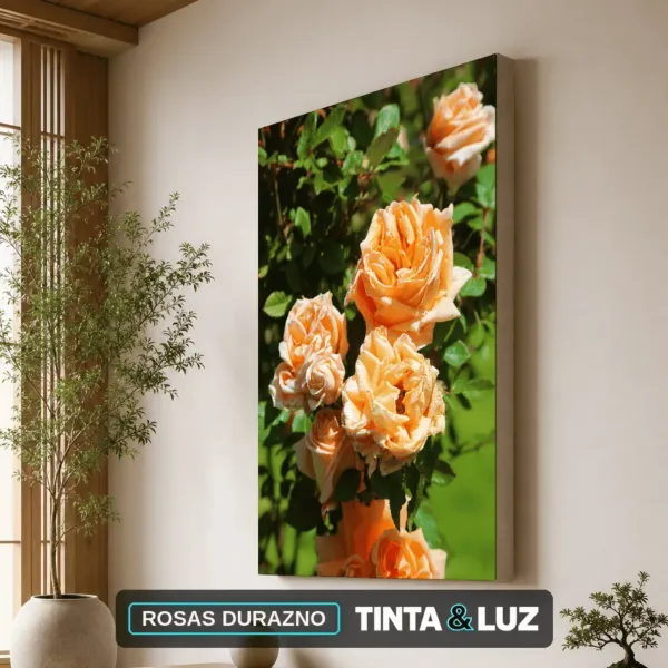 ROSAS DURAZNO