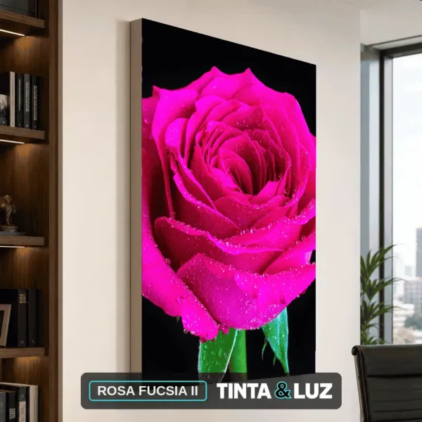 ROSA FUCSIA II