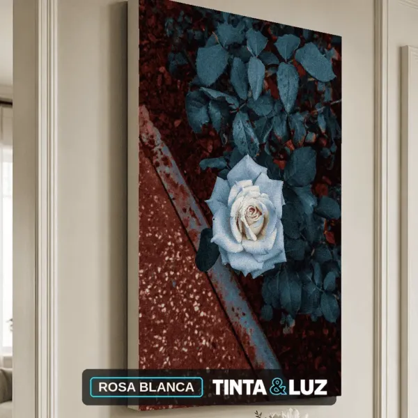 ROSA BLANCA