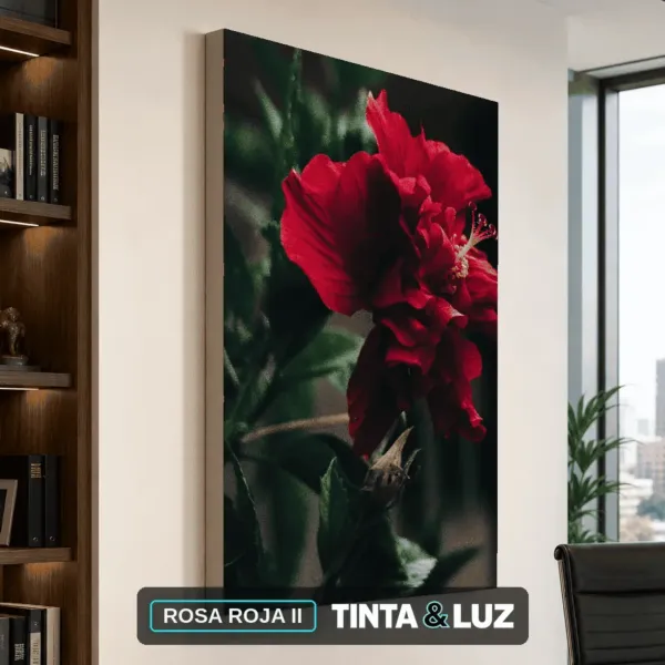 ROSA ROJA II