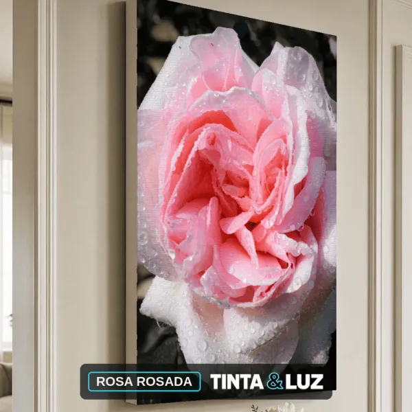 ROSA ROSADA