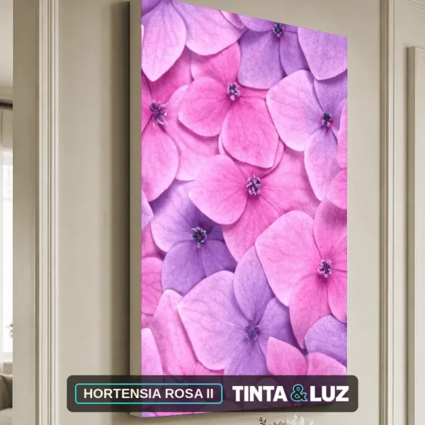 HORTENSIA ROSA II