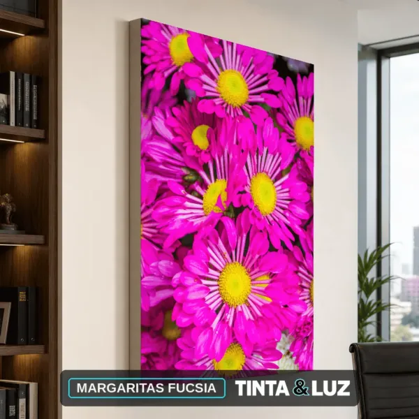 MARGARITAS FUCSIA