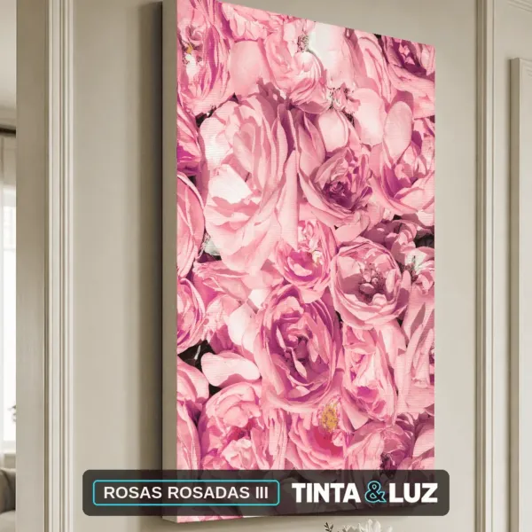 ROSAS ROSADAS III
