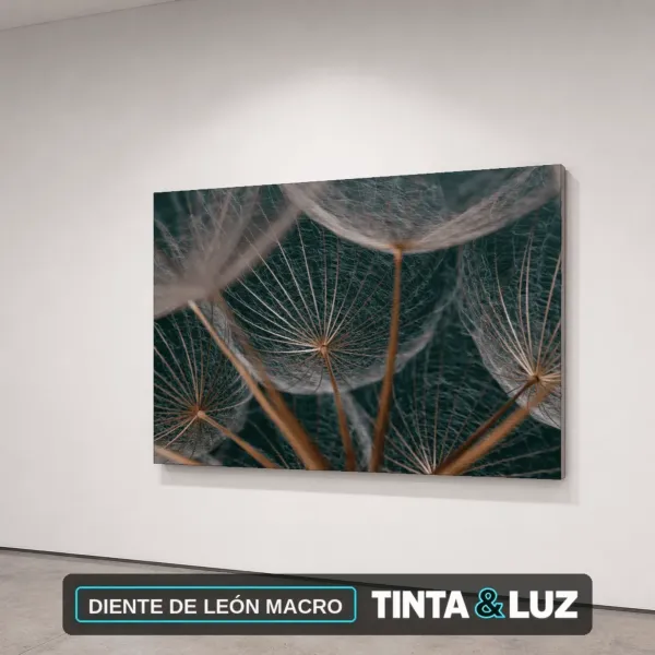DIENTE DE LEÓN MACRO