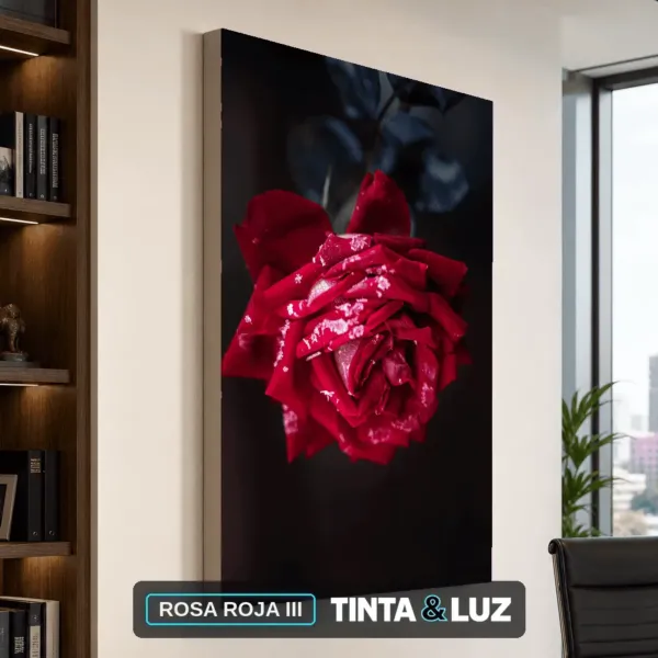 ROSA ROJA III