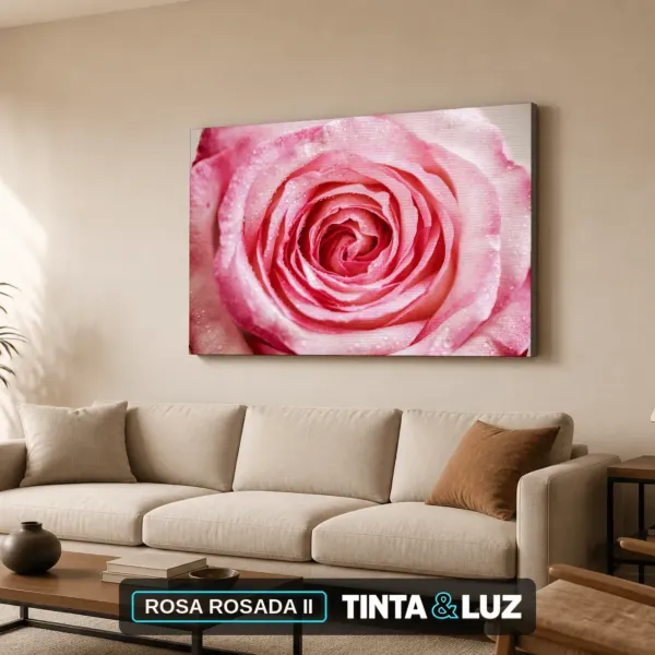 ROSA ROSADA II