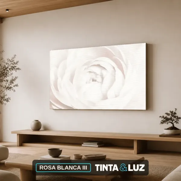 ROSA BLANCA III