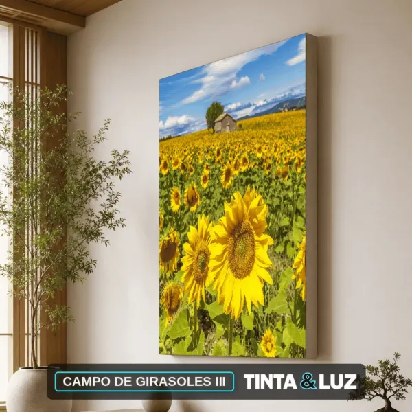 CAMPO DE GIRASOLES III