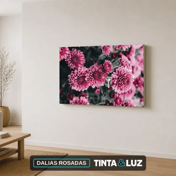 DALIAS ROSADAS