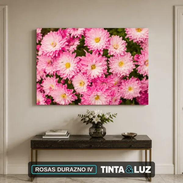 ROSAS DURAZNO IV