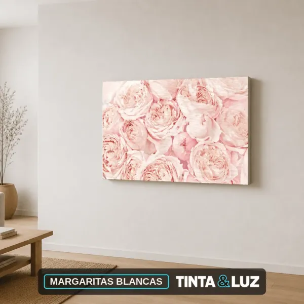 MARGARITAS BLANCAS