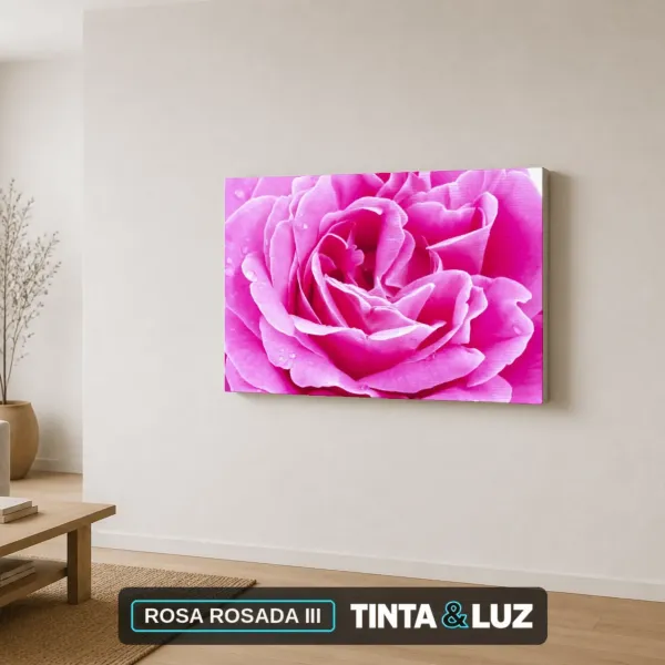 ROSA ROSADA III