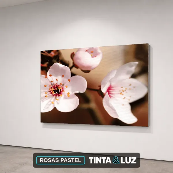 ROSAS PASTEL