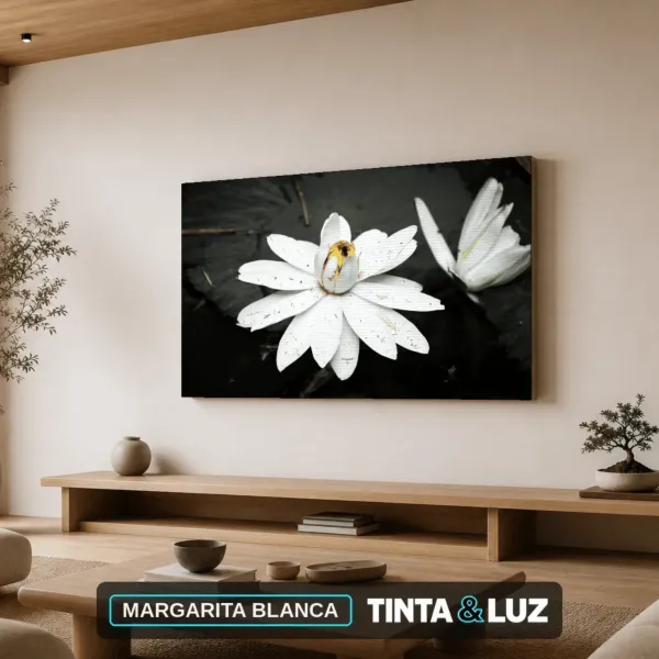 MARGARITA BLANCA