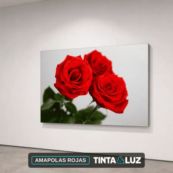 AMAPOLAS ROJAS